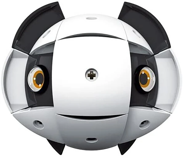 Geomag Animal à Construire Kor Tazoo - Jelo 7 Geomag Animal à Construire Kor Tazoo - Jelo – Image 7