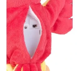 Peluche Parlante 22 Cm Avec Microphone Intégré - Perroquet -Monde Jouet Pas Cher Magasin peluche parlante perroquet 22 cm avec microphone integre ref PX2304 4